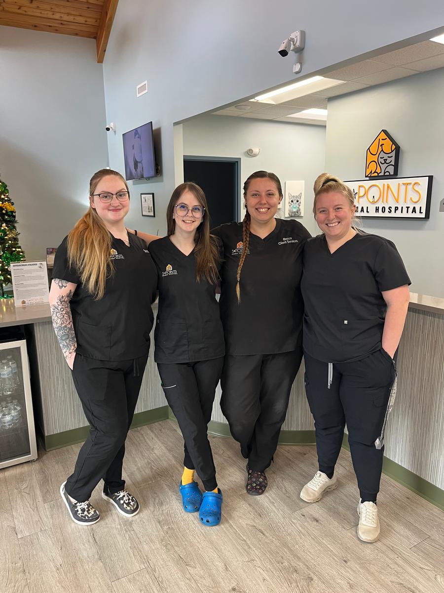 Client Services Team