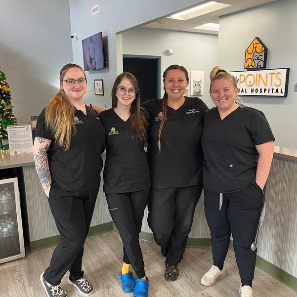 Client Services Team