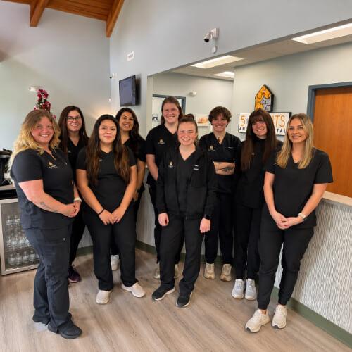 Clinical Care Team